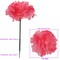200-Pack: Hot Pink Carnation Picks, 5" Stems, 3.5" Wide, Floral Home by Artificial Flowers